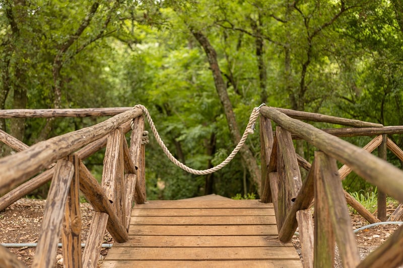 Magical Garden Walkway